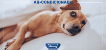 Ar-condicionado e cachorro