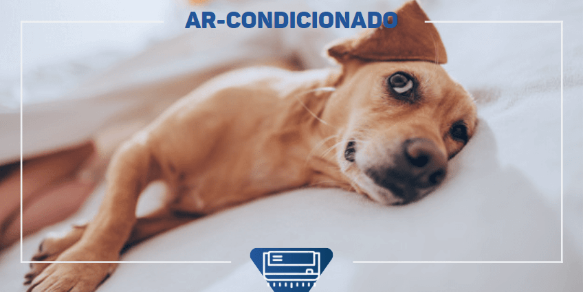 Ar-condicionado e cachorro